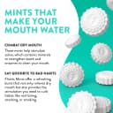 Flintts Mouth Watering Mints thumbnail 6